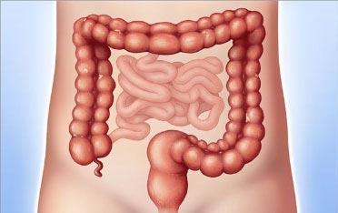 Anal Fistula - Dr. Chintamani Godbole, Colorectal Surgeon in Mumbai